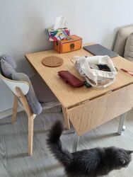 Primedge (D14), Apartment #436799381